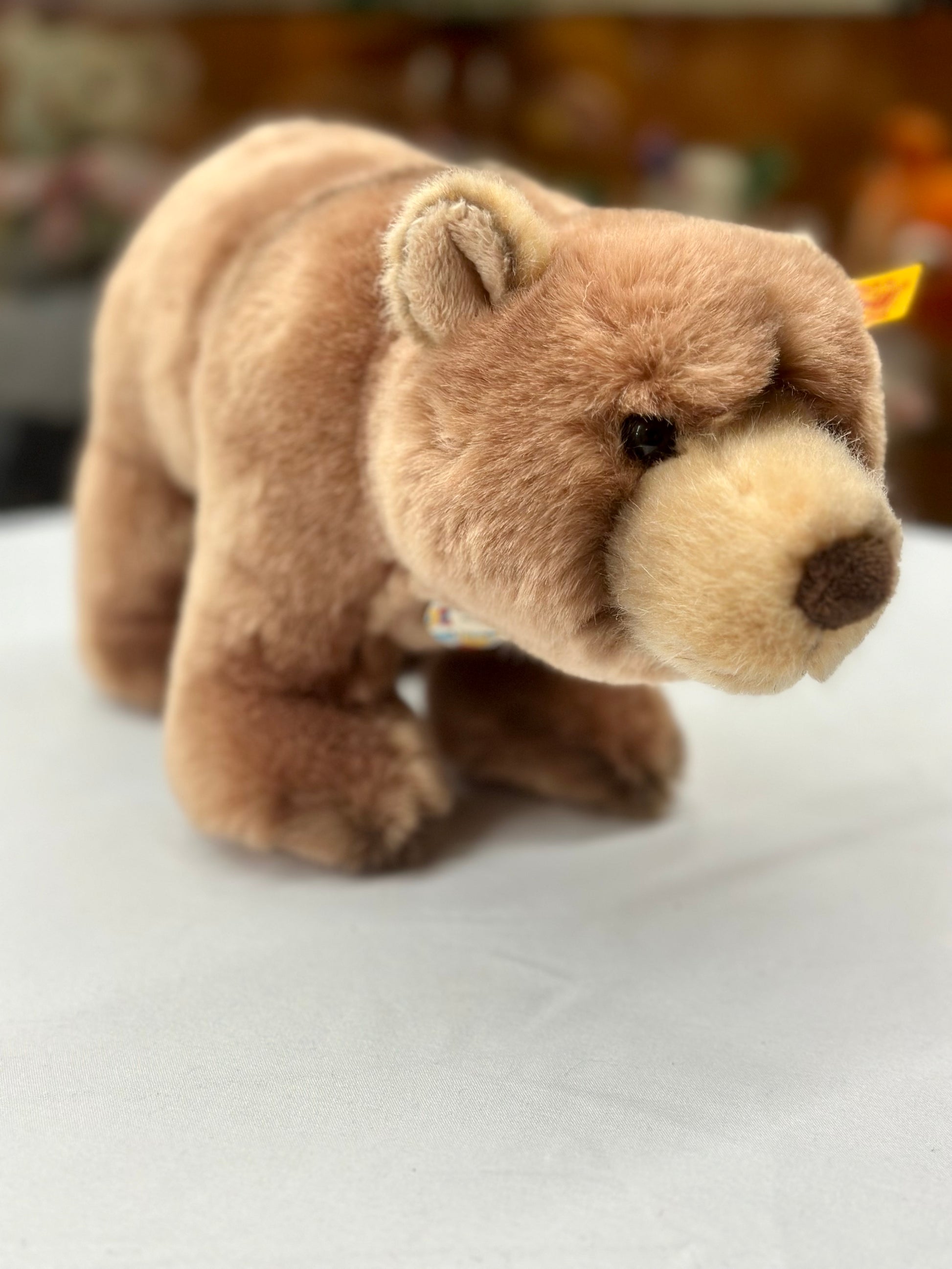 Steiff brown bear button in ear